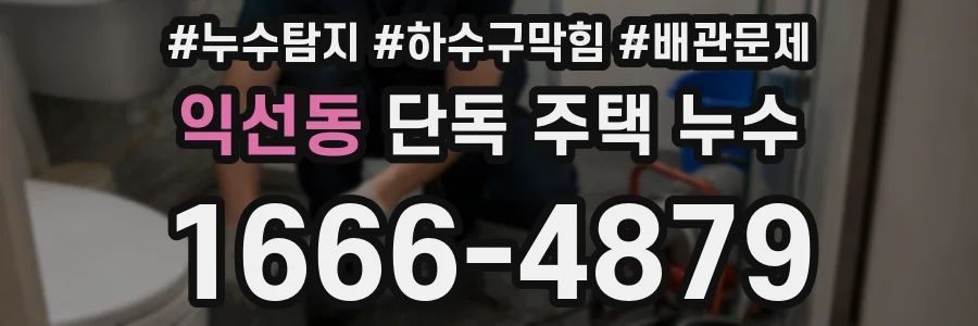 익선동 단독 주택 누수