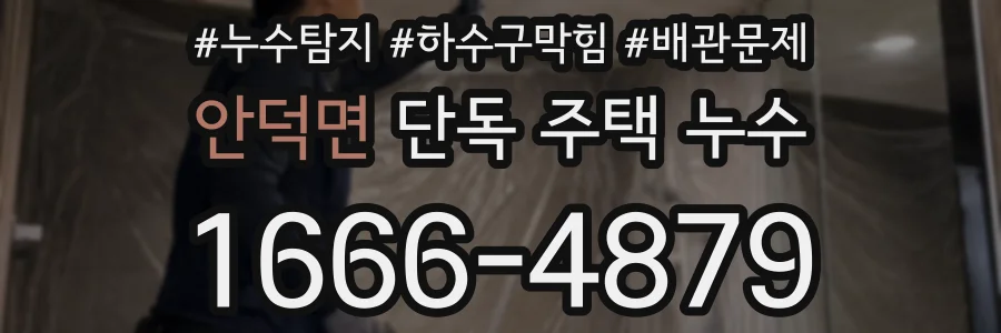 안덕면 단독 주택 누수