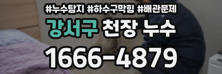 강서구 천장 누수