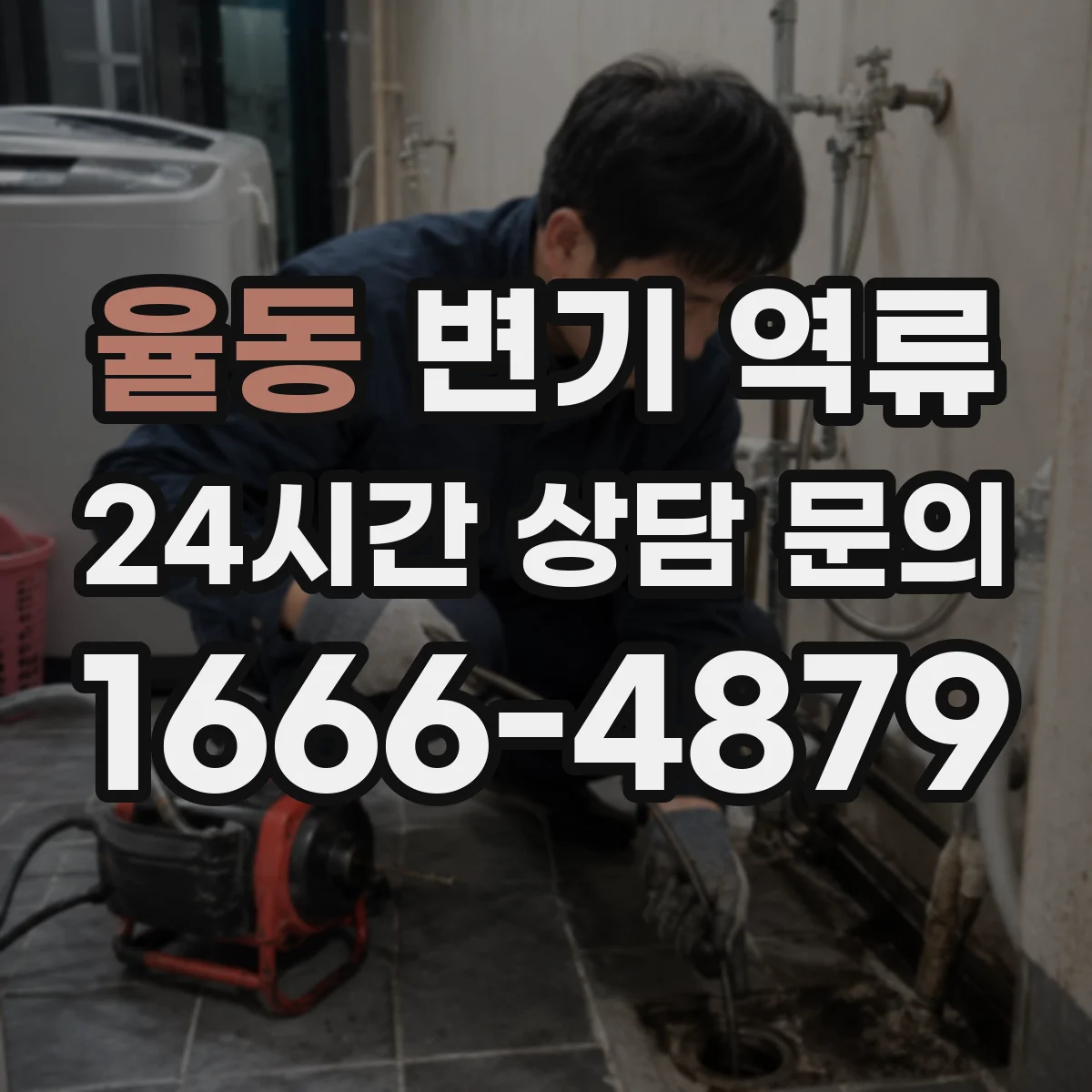 율동 변기 역류