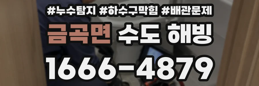 금곡면 수도 해빙