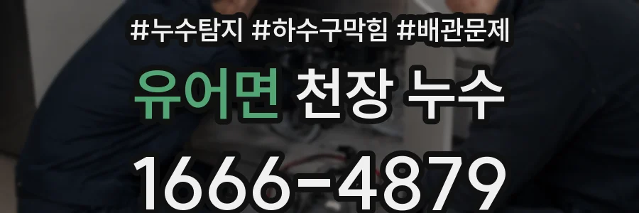 유어면 천장 누수