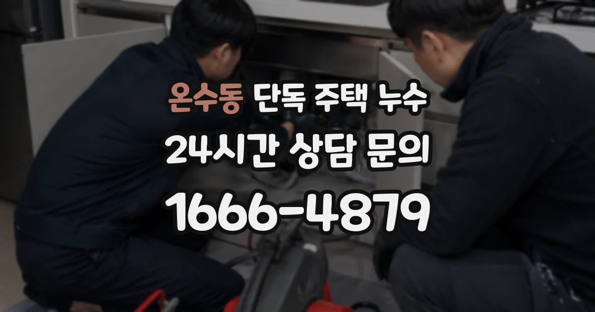 온수동 단독 주택 누수