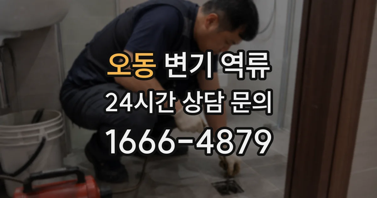 오동 변기 역류