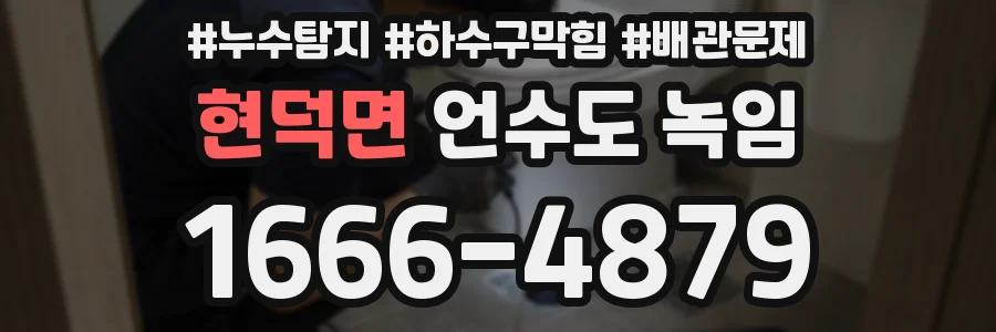현덕면 언수도 녹임