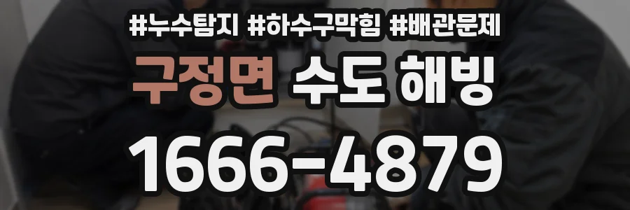 구정면 수도 해빙