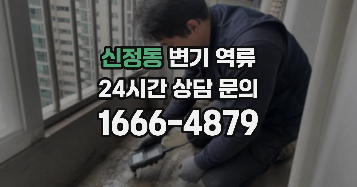 신정동 변기 역류