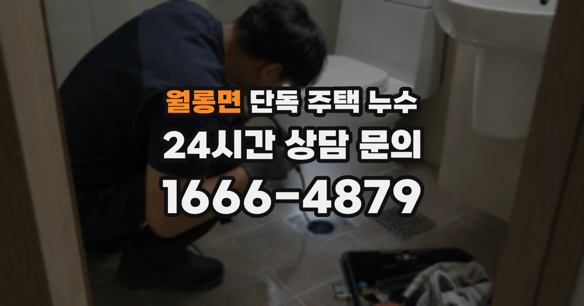 월롱면 단독 주택 누수