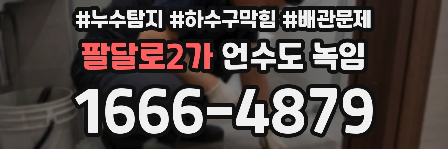 팔달로2가 언수도 녹임