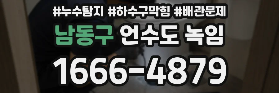 남동구 언수도 녹임