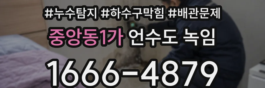 중앙동1가 언수도 녹임