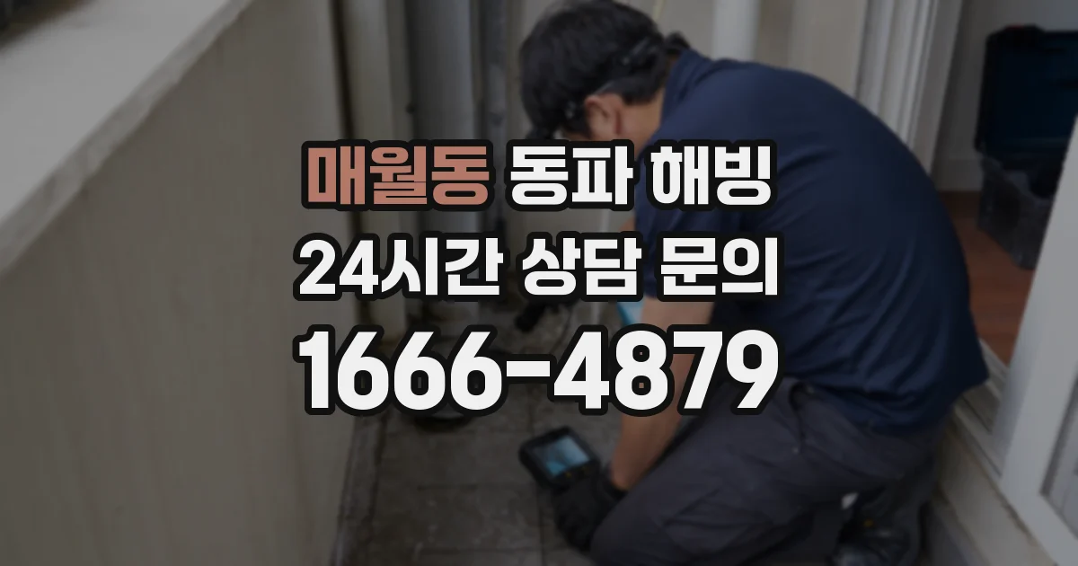 매월동 동파 해빙