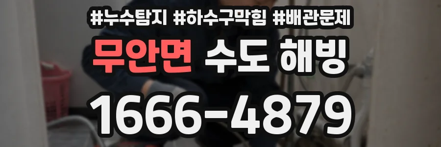 무안면 수도 해빙