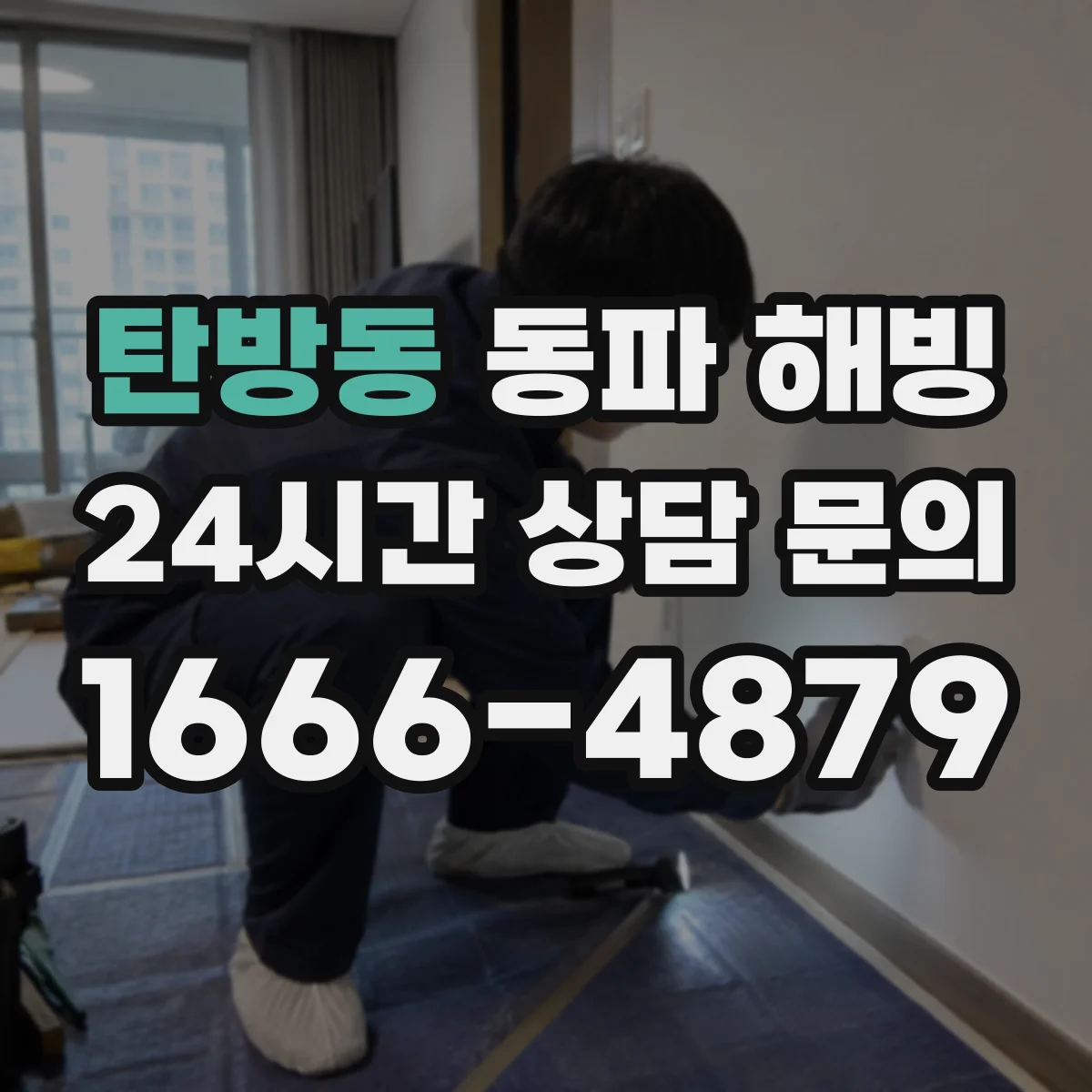 탄방동 동파 해빙