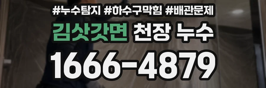 김삿갓면 천장 누수