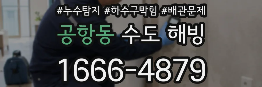 공항동 수도 해빙