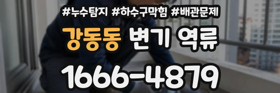 강동동 변기 역류