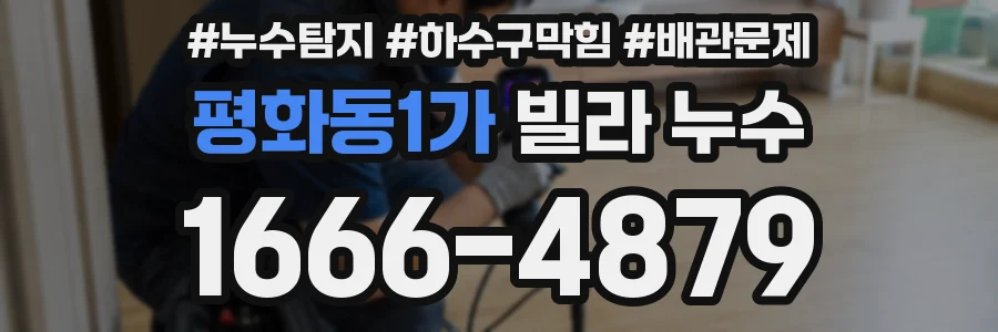 평화동1가 빌라 누수