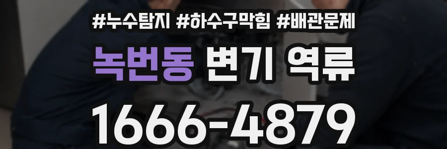 녹번동 변기 역류