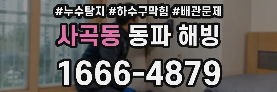 사곡동 동파 해빙