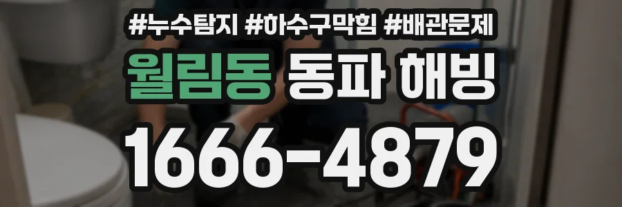 월림동 동파 해빙