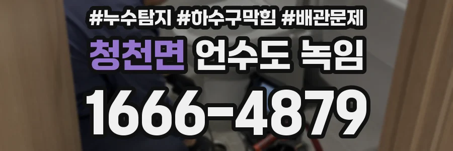 청천면 언수도 녹임