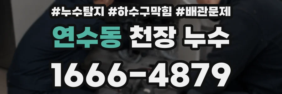 연수동 천장 누수