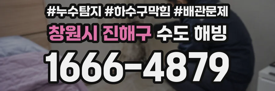 창원시 진해구 수도 해빙
