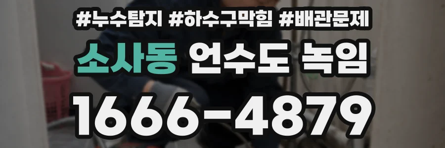 소사동 언수도 녹임