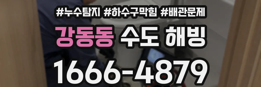 강동동 수도 해빙