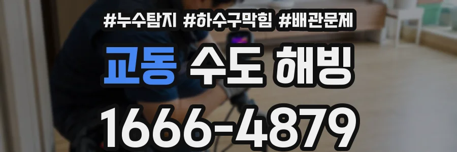 교동 수도 해빙