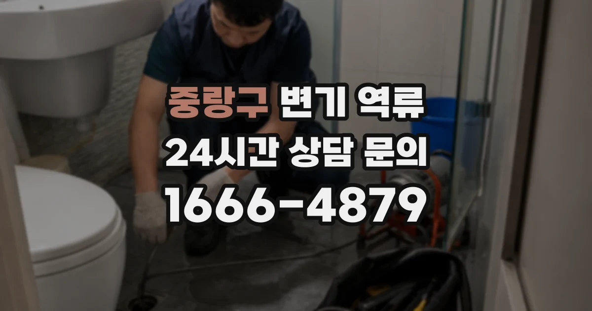 중랑구 변기 역류