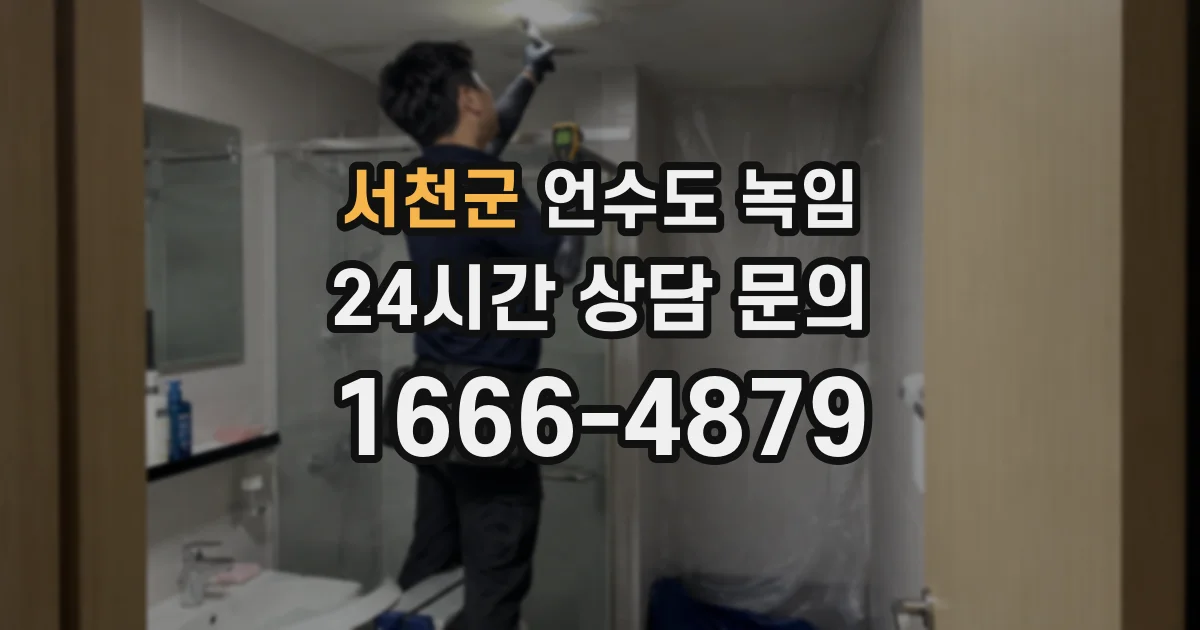 서천군 언수도 녹임