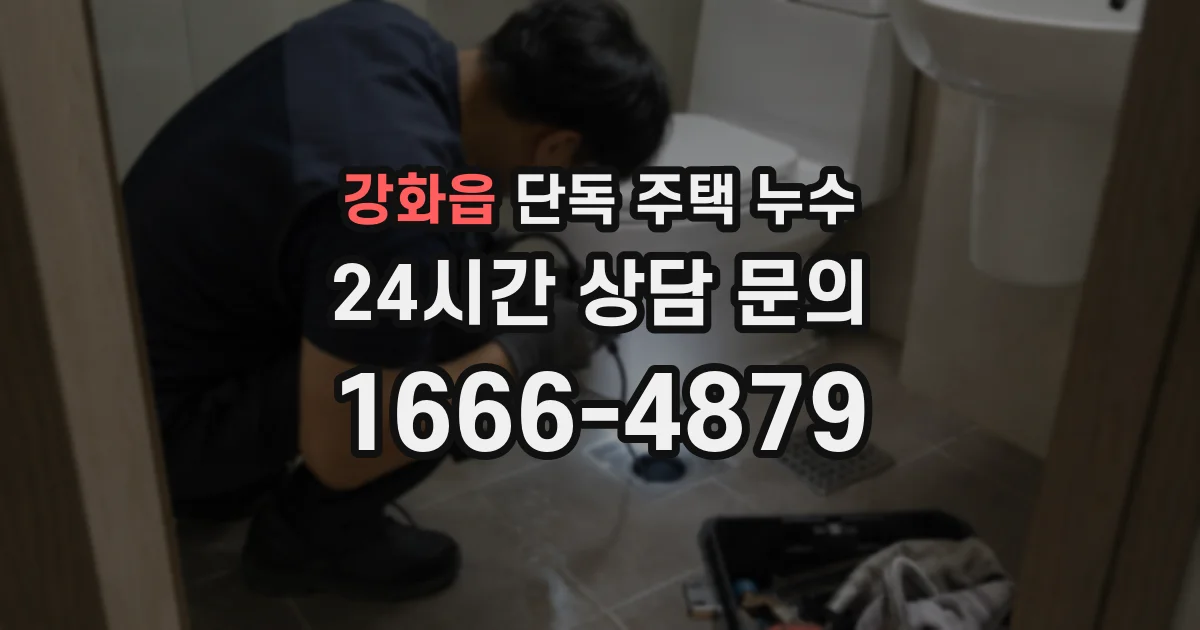 강화읍 단독 주택 누수
