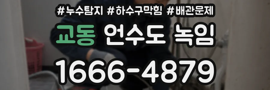교동 언수도 녹임