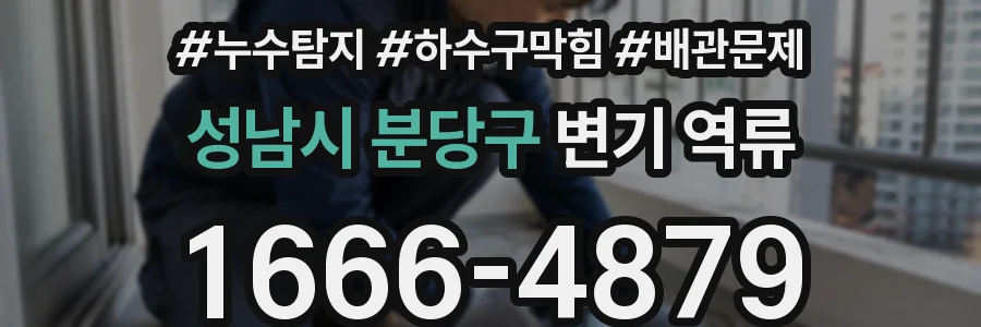 성남시 분당구 변기 역류