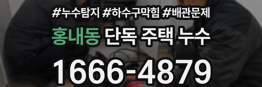 홍내동 단독 주택 누수