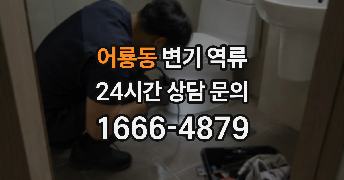어룡동 변기 역류