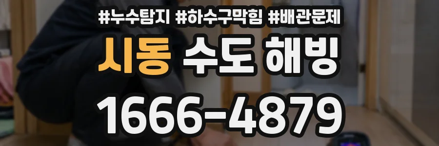 시동 수도 해빙