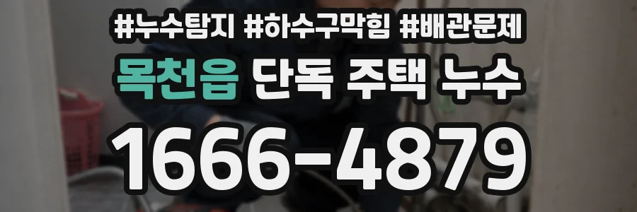 목천읍 단독 주택 누수