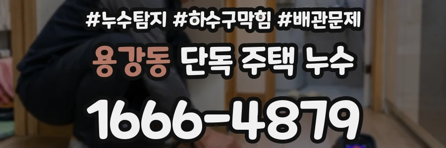 용강동 단독 주택 누수