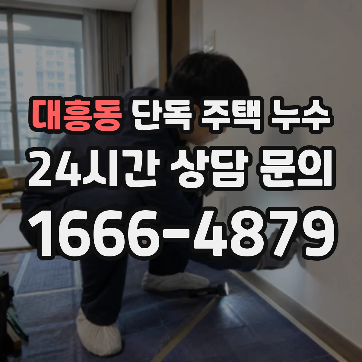 대흥동 단독 주택 누수
