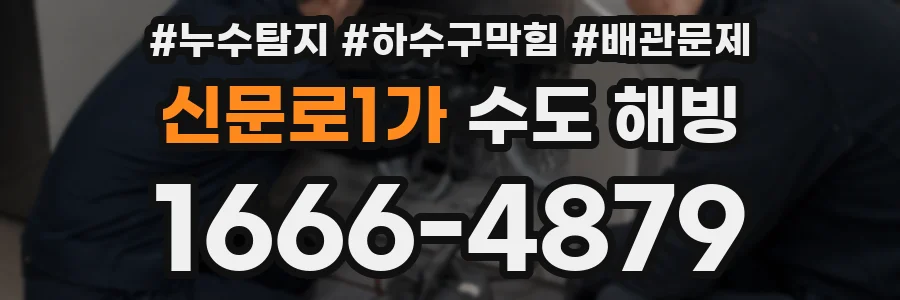 신문로1가 수도 해빙