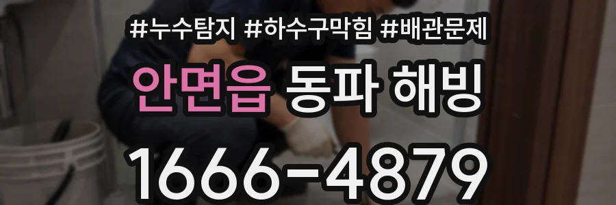 안면읍 동파 해빙