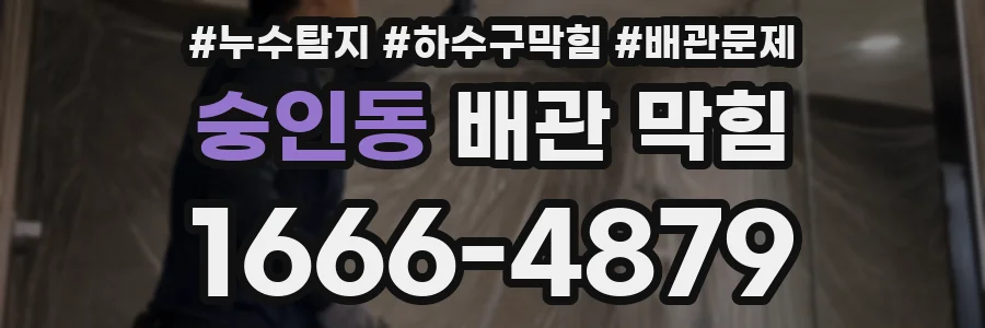 숭인동 배관 막힘
