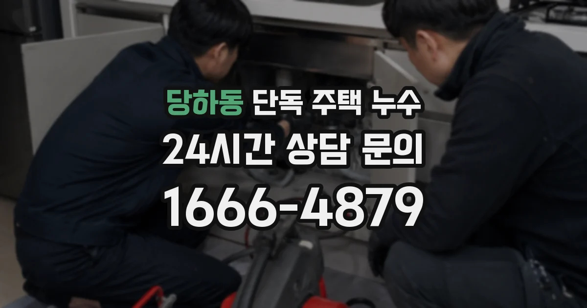 당하동 단독 주택 누수