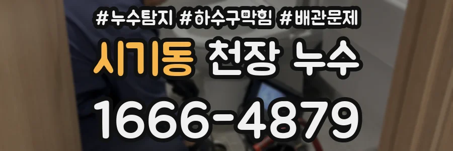 시기동 천장 누수