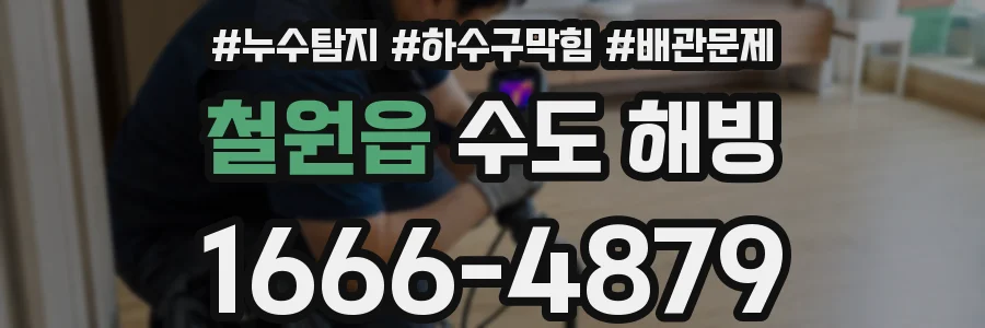 철원읍 수도 해빙