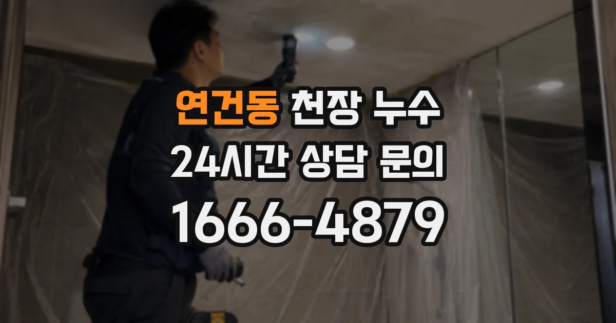 연건동 천장 누수