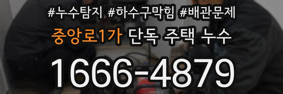 중앙로1가 단독 주택 누수